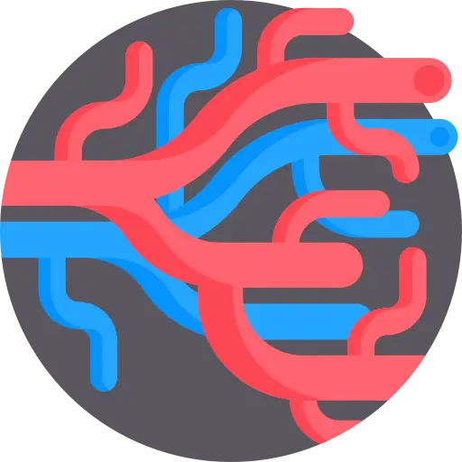 Clínica de Arañas Vasculares