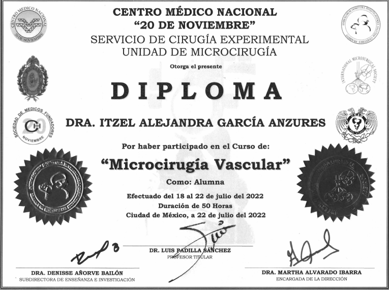 Captura de pantalla 2025-07-16 162003