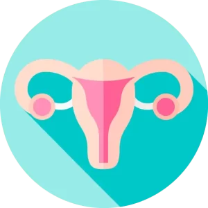 DraTeresaOda favicon