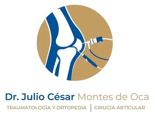 Dr. Julio César Montes de Oca