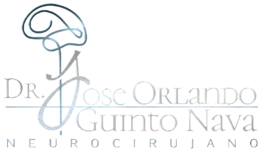LOGOTIPO 5 - José Orlando Guinto Nava-Photoroom (1)
